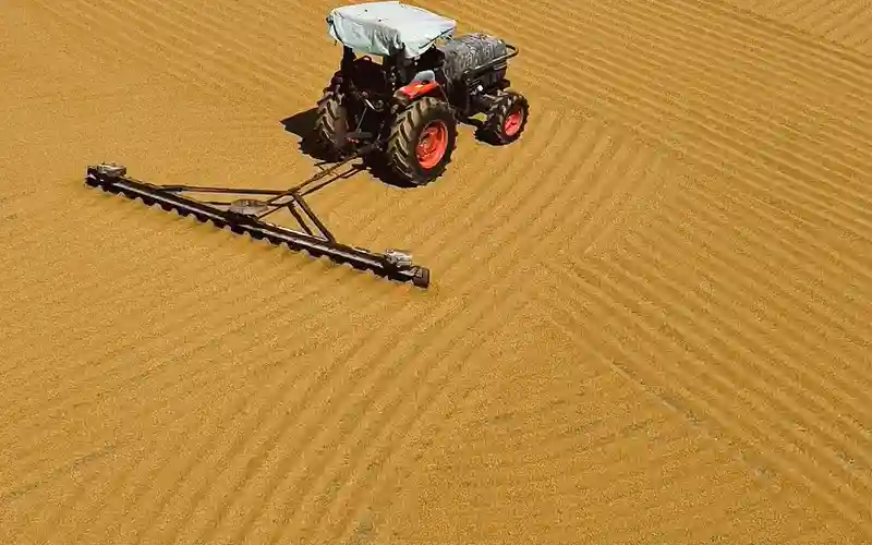 Siembra precisa, mejor arranque