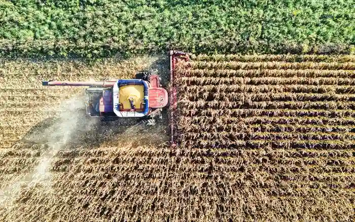 Respuestas para el campo