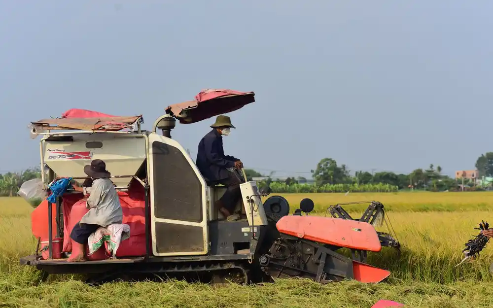 Servicio técnico de maquinaria agrícola
